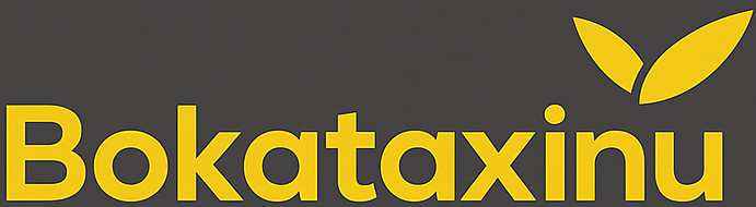 Booktaxinu Logo
